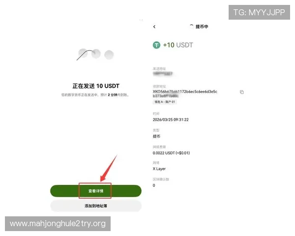 PG官方正版游戏下载指南，帮助玩家顺利完成现金提现的详细流程